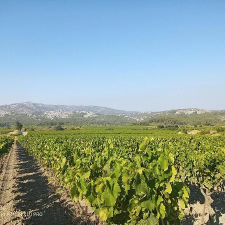 Sevorage * Roquefort-des-Corbières